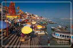 Varanasi (428) Dashashwamedh Ghat