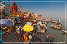 Varanasi (469) Dashashwamedh Ghat