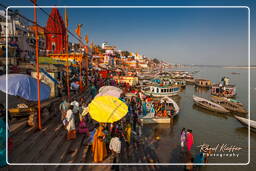 Varanasi (469) Dashashwamedh Ghat