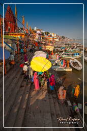 Varanasi (474) Dashashwamedh Ghat