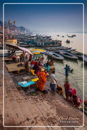 Dashashwamedh Ghat, Varanasi (505)