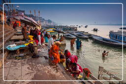 Dashashwamedh Ghat, Varanasi (506)
