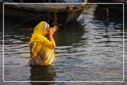 Varanasi (516) Gange