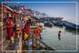 Dashashwamedh Ghat, Varanasi (533)