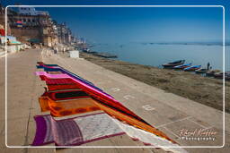 Varanasi (683) Babua Pandey Ghat