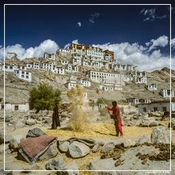 Ladakh (9) Tikse
