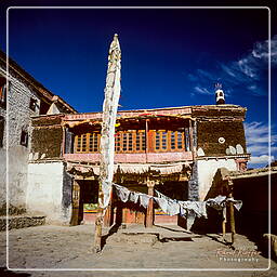 Ladakh (10) Hemis