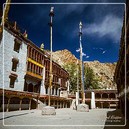 Ladakh (11) Hemis