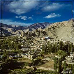 Ladakh (12) Leh