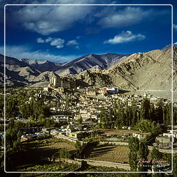 Leh, Ladakh (12)