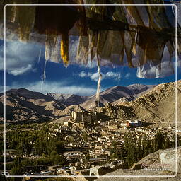 Leh, Ladakh (13)