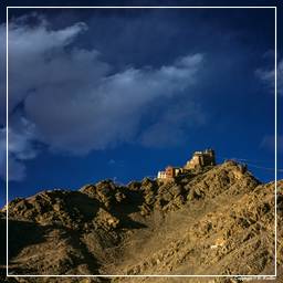Ladakh (14) Leh