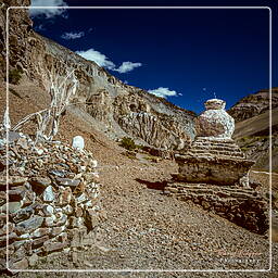 Zanskar (28) Phuktal