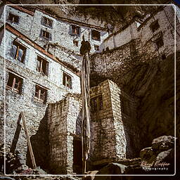Phuktal, Zanskar (31)