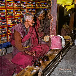 Phuktal, Zanskar (33)