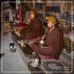 Phuktal, Zanskar (34)
