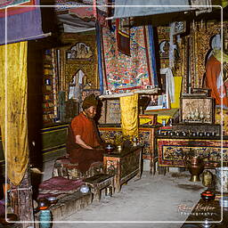 Phuktal, Zanskar (37)