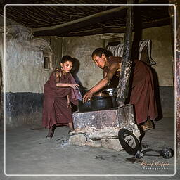 Phuktal, Zanskar (39)