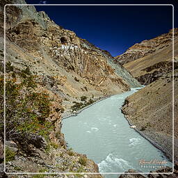 Zanskar (41) Phuktal