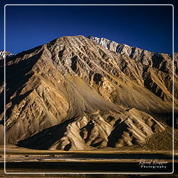 Karsha, Zanskar (65)