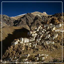 Karsha, Zanskar (71)