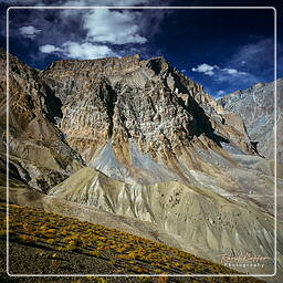 Lingshed, Zanskar (113)