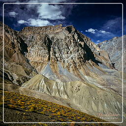 Zanskar (113) Lingshed