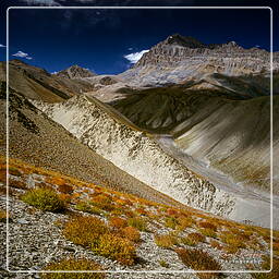 Zanskar (114) Lingshed