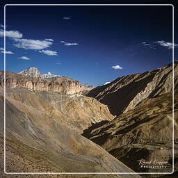 Zanskar (119) Lingshed