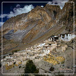 Zanskar (123) Lingshed