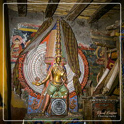 Lingshed, Zanskar (126)