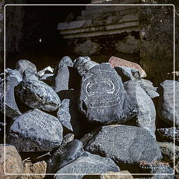 Lingshed, Zanskar (130)