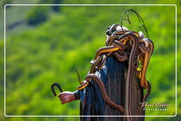 Festa dei serpari, Cocullo (170)