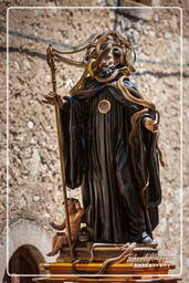 Festa dei serpari, Cocullo (254)