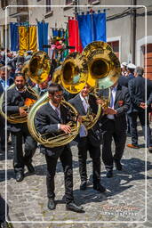 Cocullo (265) Festa dei serpari