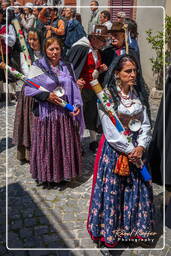 Cocullo (268) Festa dei serpari