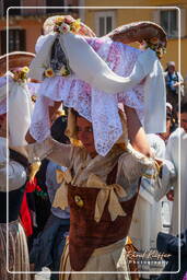 Festa dei serpari, Cocullo (342)
