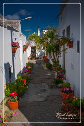 Alberobello (6)