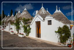 Alberobello (10)