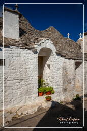 Alberobello (15)