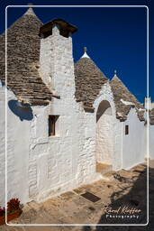 Alberobello (35)