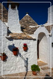 Alberobello (38)