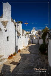 Alberobello (43)