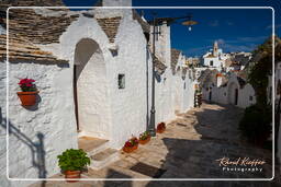 Alberobello (45)