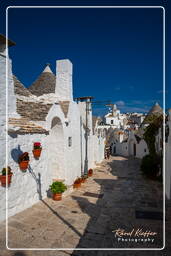 Alberobello (50)