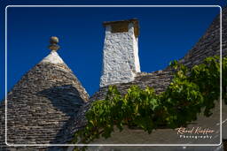 Alberobello (59)