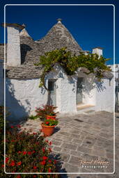 Alberobello (60)