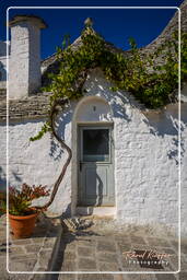 Alberobello (63)