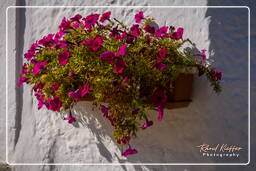 Alberobello (68)