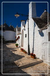 Alberobello (77)